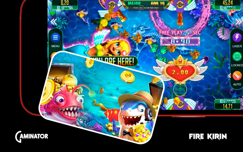 Business model and financial nuances