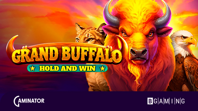 Grand Buffalo Hold & Win Grand Buffalo Hold and Win by BGaming