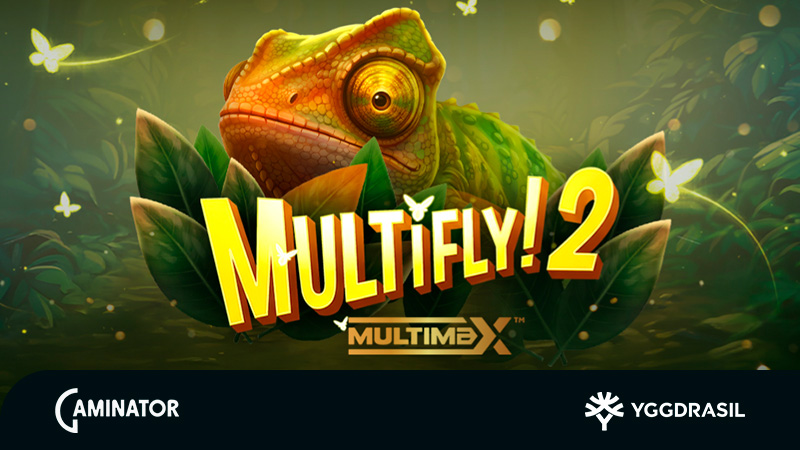 MultiFly! 2 MultiMax MultiFly! 2 MultiMax by Yggdrasil